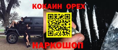 стаф Новодвинск