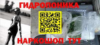 стаф Новодвинск