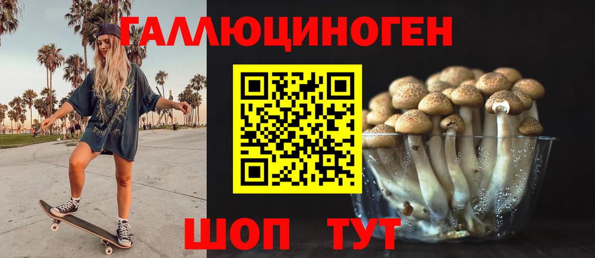 Псилоцибиновые грибы Cubensis  Галлюциногенные грибы мухоморы  Ртищево  Вход с VPN 