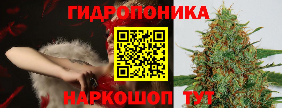 МАРИХУАНА сатива Ртищево